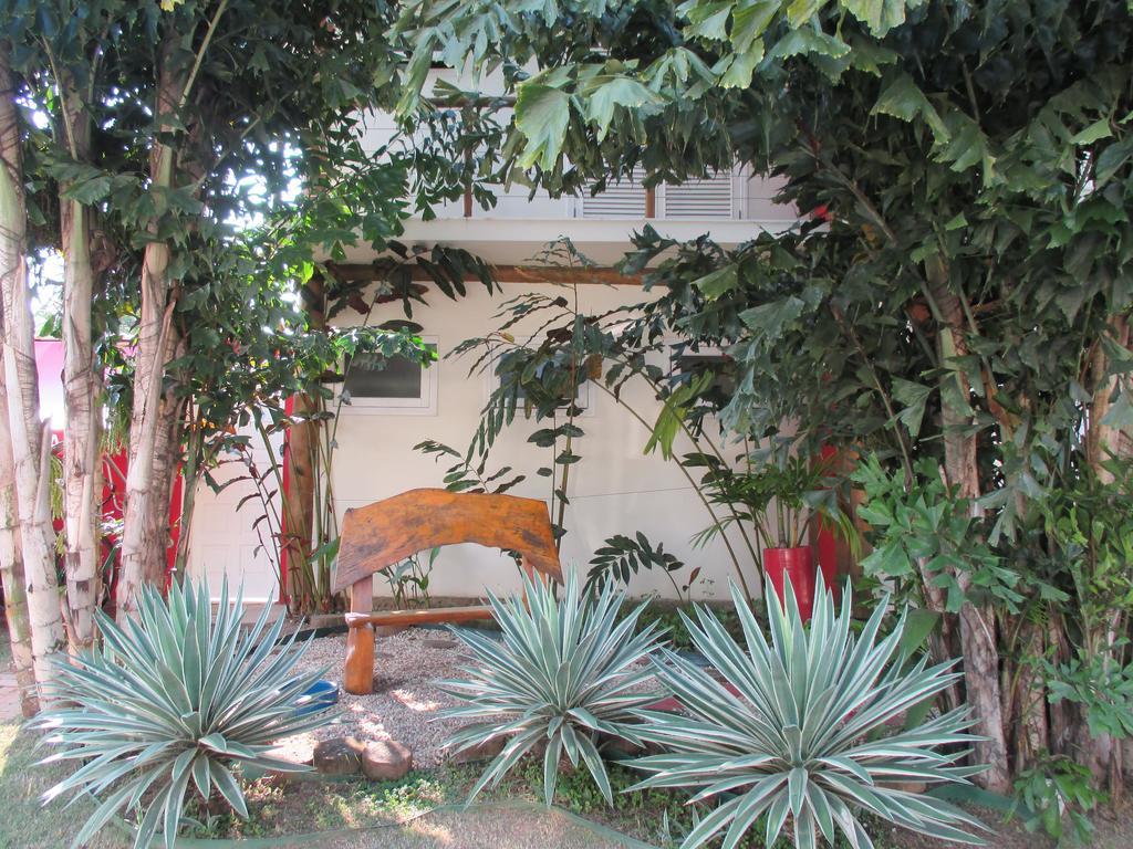 Cana Caiana Parati